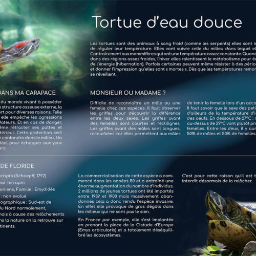 Création de panneaux pour l’aquarium de Lyon