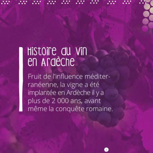 Brochure De la vigne au verre